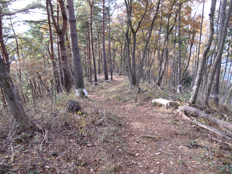 20161117hike (254)